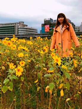 「SALA（サラ）のアイテム」を使った、Joyさん（レディース・156cm）の冬コーディネート