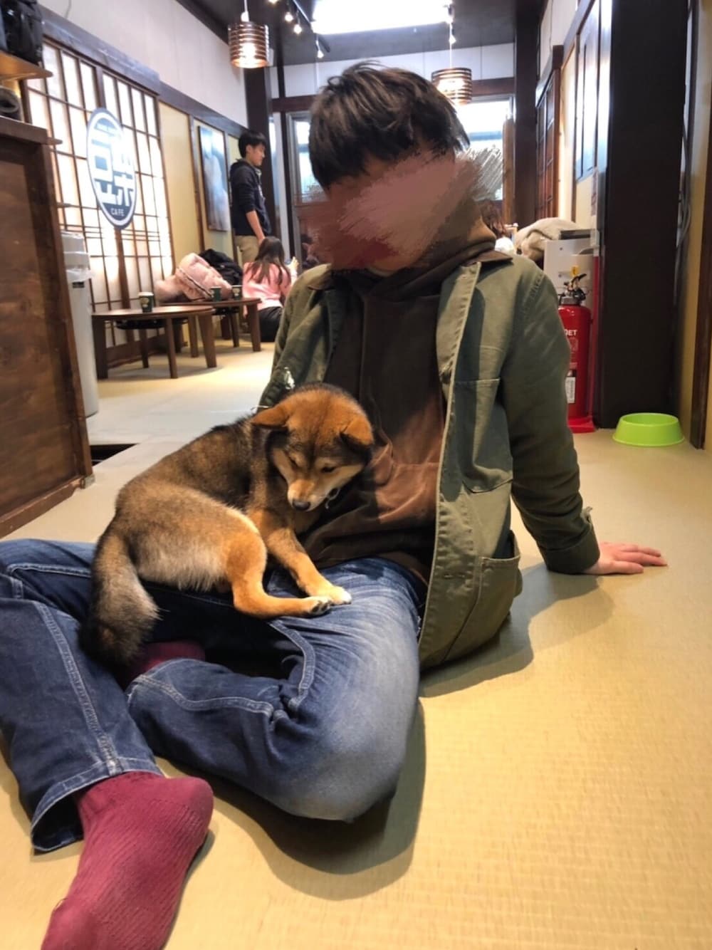 グリーン系のミリタリージャケット、ブルー系のデニムパンツ、ブラウン系のその他を着用したメンズの冬コーディネートの1枚目の写真