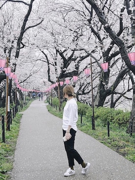「STYLENANDA（スタイルナンダ）のアイテム（スラックス）」を使った、Daphne Choさん（レディース・161cm）の夏コーディネート