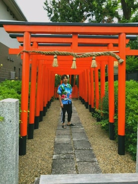 サウルスさんのコーディネート