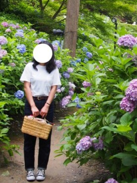 みんさんのコーディネート