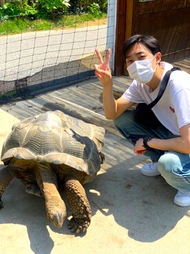 たむさんのコーディネート
