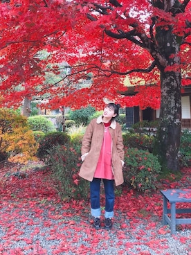 しろまるさんのコーディネート