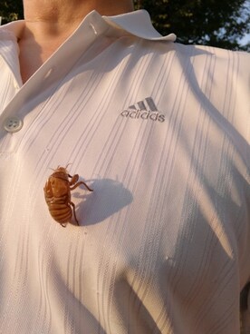 豚麺さんのコーディネート