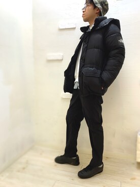THE NORTH FACE】 ザ・ノース・フェイス NEW SIERRA DOWN JACKET