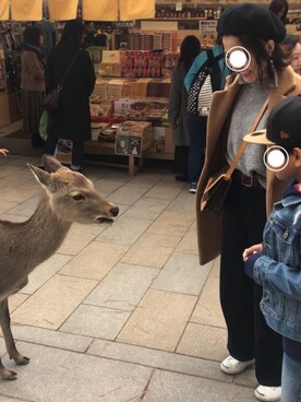 「ジャックパーセル」｜「アイテム（チェスターコート）」を使った、na.___.eさん（レディース・161cm）の秋コーディネート