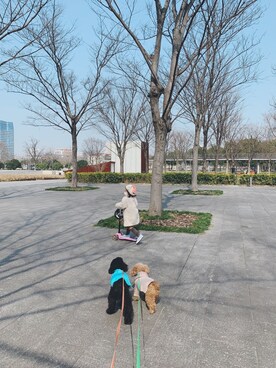 ALULAさんのコーディネート