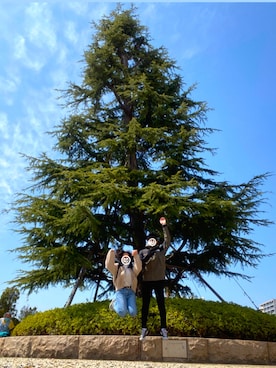 koyooooooooooさん（レディース・163cm）の春コーディネート