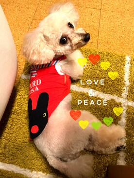 chaco♪さんのコーディネート