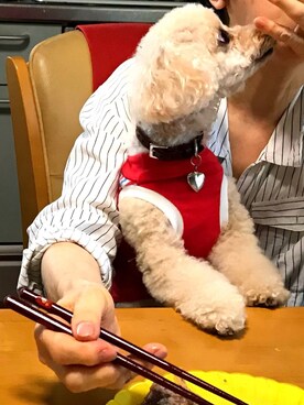 chaco♪さんのコーディネート