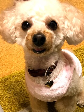 chaco♪さんのコーディネート