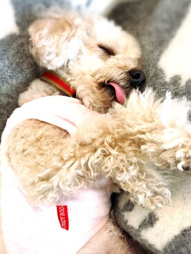 chaco♪さんのコーディネート