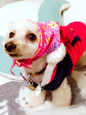 chaco♪さんのコーディネート