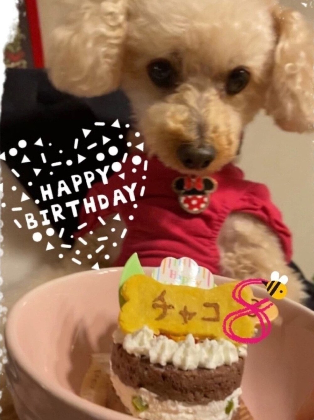 ピンク系のペットウェア、ブラウン系のその他ペットグッズ、ベージュ系のその他を着用したレディースの春コーディネートの1枚目の写真