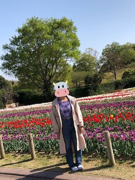 やさんのコーディネート