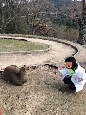 やさん（レディース・163cm）の春コーディネート