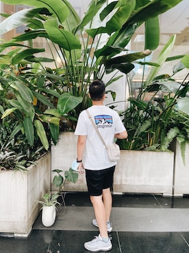 綠の少年さんのコーディネート