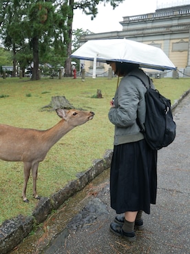 「アイテム（ドレスシューズ、グリーン系）」を使った、Kkkさん（レディース・150cm）の秋コーディネート