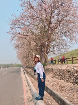 草さんのコーディネート