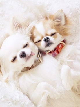 「アイテム（財布）」を使った、FLORIST(フローリスト)さん（レディース・163cm）の秋コーディネート