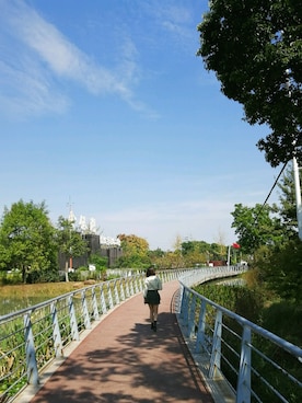 ling2akiさんのコーディネート