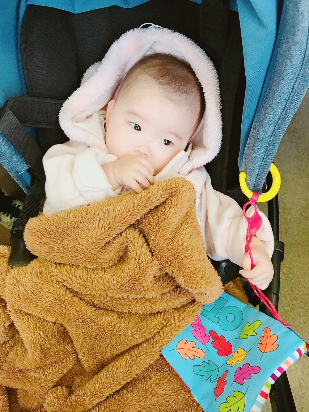 「０歳、7months、babygirl 、bagaboo bee5、バガブー、防寒　、お出かけコーデ、comme ca fossette」｜「bagabooのアイテム（ベビーカー/ベビーカー用品、ブルー系）」を使った、⁑ＥＮＡ☺︎⁑さん（キッズ・70cm）の冬コーディネートの1枚目の写真