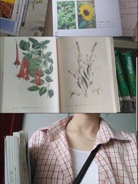 洪莲西さんのコーディネート