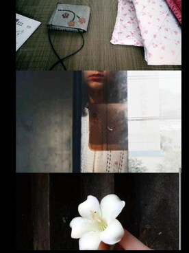 洪莲西さんのコーディネート