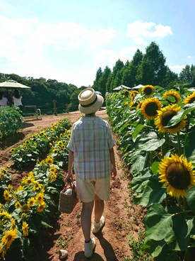 こはさんのコーディネート