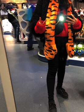 プリンセスAさんのコーディネート