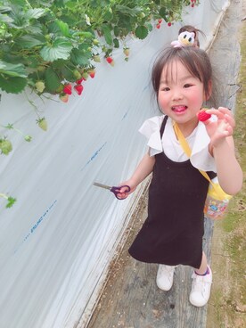 小さいみちゃんさんのコーディネート