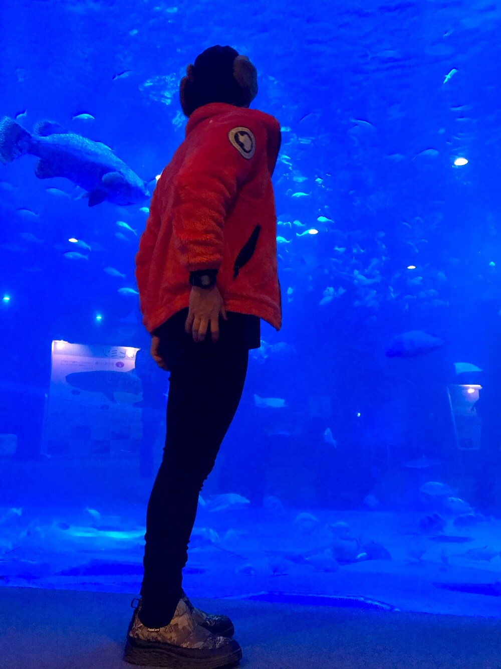 「鼻油、northface、秋冬コーデ、ワークマン、水族館」｜「Y-3のY-3 TUBE SOCKS（ソックス/靴下、ブラック系）」を使った、310U2106さん（メンズ・174cm）の秋コーディネートの1枚目の写真