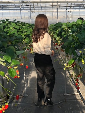 り りさんのコーディネート