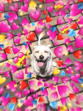 蟑螂恶霸さんのコーディネート