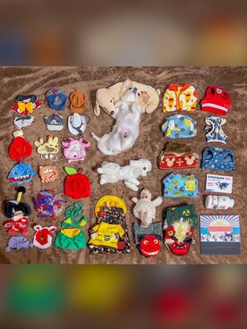 🅿🅴🆃🅻🅾🆅🅴🆁 さんのコーディネート