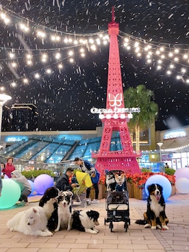 🅿🅴🆃🅻🅾🆅🅴🆁 さんのコーディネート