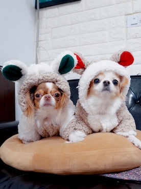 🅿🅴🆃🅻🅾🆅🅴🆁 さんのコーディネート