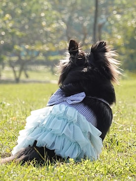 🅿🅴🆃🅻🅾🆅🅴🆁 さんのコーディネート