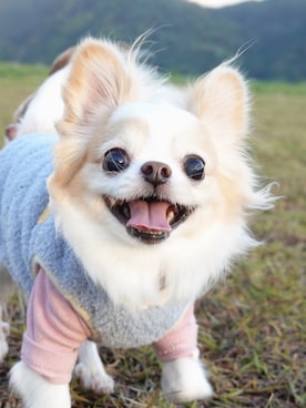 🅿🅴🆃🅻🅾🆅🅴🆁 さんのコーディネート