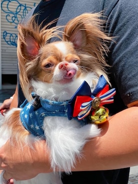 🅿🅴🆃🅻🅾🆅🅴🆁 さんのコーディネート