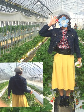 とんさんのコーディネート