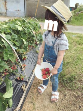 「イチゴ狩り」｜「アイテム（オールインワン・サロペット）」を使った、rimmy❤︎さん（キッズ・90cm）の春コーディネート