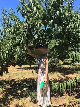 ___さん（レディース・160cm）の夏コーディネート