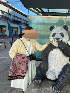 「SVEC（シュベック）のカンフーシューズ kung fu Shoes / ストラップパンプス（バレエシューズ）」を使った、___さん（レディース・160cm）の秋コーディネート