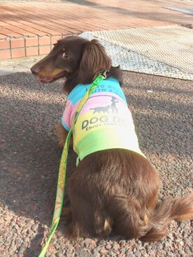 空凛さんのコーディネート