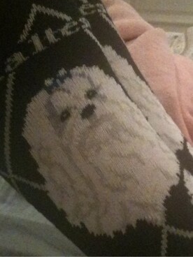 Emilyさんのコーディネート