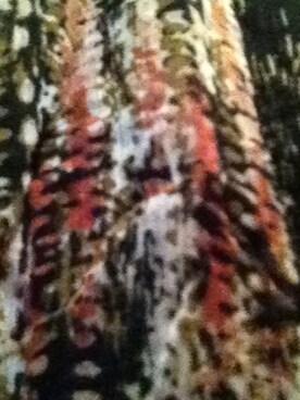 Emilyさんのコーディネート