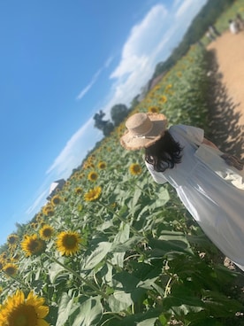 「ひまわり畑」｜「アイテム（その他シューズ）」を使った、🧸 315 🧸さん（レディース・143cm）の夏コーディネート