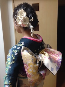 不明 | 振り袖(その他)