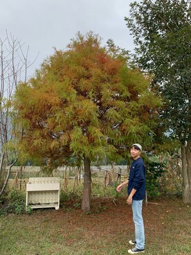 ding1022さんのコーディネート